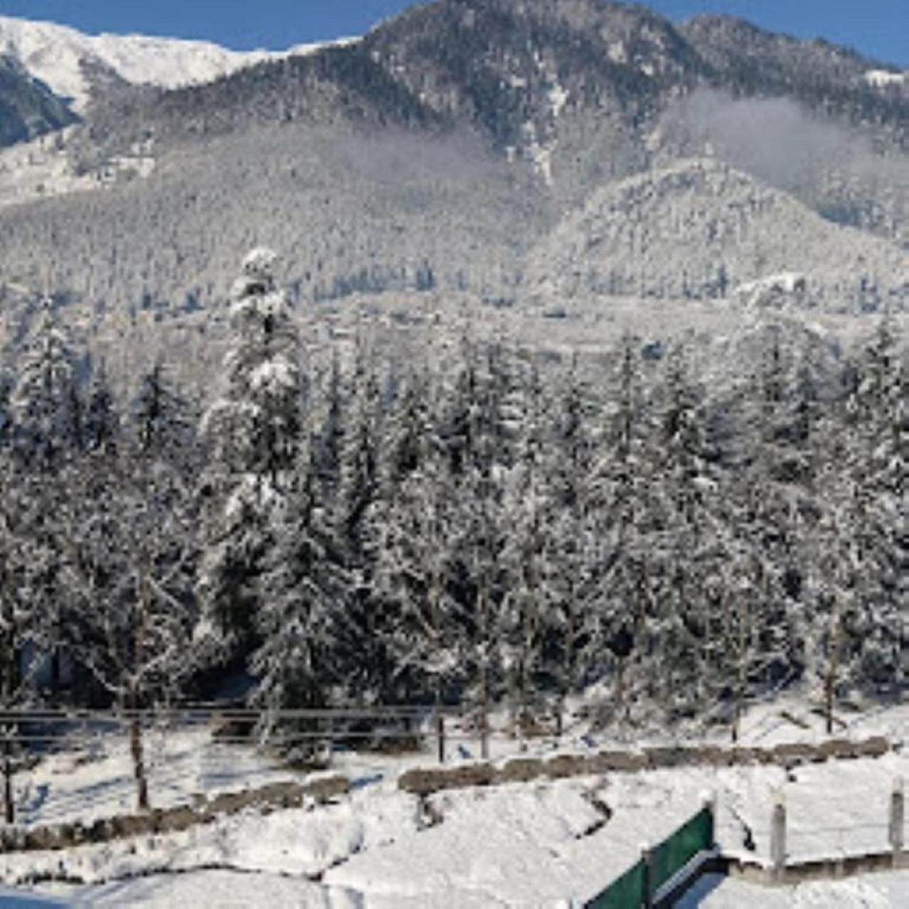 Hotel White Mountain Manāli Exterior foto